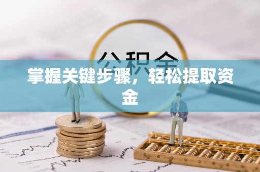 白河掌握关键步骤，轻松提取资金