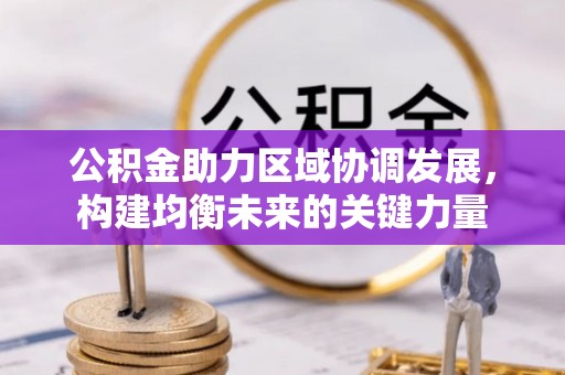 白河公积金助力区域协调发展，构建均衡未来的关键力量