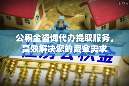 白河公积金咨询代办提取服务，高效解决您的资金需求