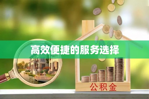 白河高效便捷的服务选择