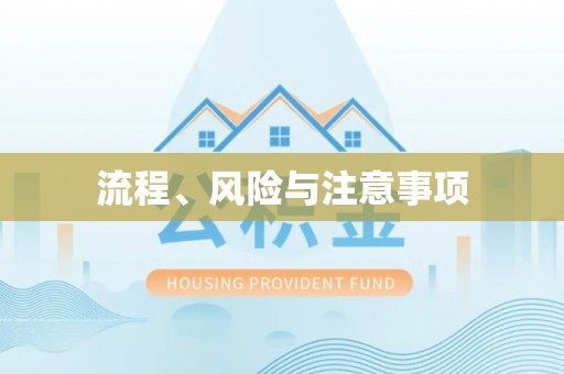 白河流程、风险与注意事项