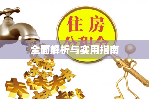 白河全面解析与实用指南